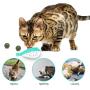 USWT Cat Toothbrush Catnip Toys Cats Supplies with Catnip Ball,Teeth Cleaning Teeth Grinding Built-in Bell Sound Toys,Interactive Puzzle Automatic Scratcher