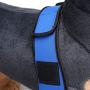Alfie Pet - Tegan Dog Front Leg Braces with Supporting Sleeve