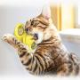 LOVEPET Pet Cat Toys Turntable Windmill Whirling Ball Toys for Cat Kitten Interactive Puzzle Teasing Toys Funny Cats Hair Brush Toys