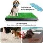 KZNANZN Dog Grass Pad with Tray,Artificial Grass Turf Professional Potty Patch with Drawer Indoor/Outdoor Training Dog Pee Potty Pad,Suitable for Medium and Small Dog -with a Dog Chewing Toy KZNANZN Dog Grass Pad with Tray,Artificial Grass Turf Professional Potty Patch with Drawer Indoor/Outdoor Training Dog Pee Potty Pad,Suitable for Medium and Small Dog -with a Dog Chewing Toy