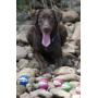 Rogz Grinz Medium Ball Dog Toy