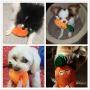 JENRICH [2PAK]-Pet Plush Toys-Cute Smiling Carrot Plush Chew Squeaker-Dog Puppy Cat Vegetable Carrot Sound Voice Plush Toy