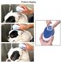 Povinmos Pet Scrubber Shampoo Dispenser Pet Dog Cat Bath & Massage Brush, Silicone Brush Bristle Pet Cleaning Device Wahser Bathing Comb Tool, Blue