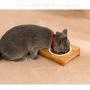 PICKME Premium Elevated Dog and Cat Pet Feeder, Double Bowl Raised Stand Comes with Extra Two Ceramics Bowls. Perfect for Dogs and Cats.
