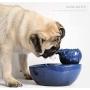 KUANDARM Fountains and Water Features, Cat Water Dispenser, Flower Style Dog Drinking Fountain with Filter, Super Quiet Automatic Water Drinking Bowls Drinking Fountains for Dogs, Blue
