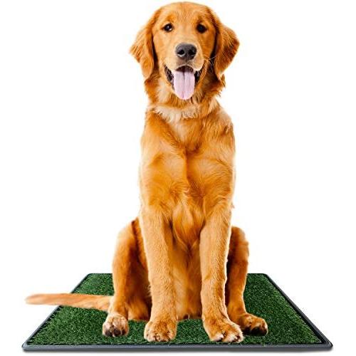 Dog Potty Grass Pee Pad – Large 20'' x 30 Artificial Pet Grass Patch for Dogs Indoor Outdoor Dog Potty Grass Pee Pad – Large 20'' x 30 Artificial Pet Grass Patch for Dogs Indoor Outdoor