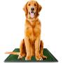 Dog Potty Grass Pee Pad – Large 20'' x 30 Artificial Pet Grass Patch for Dogs Indoor Outdoor Dog Potty Grass Pee Pad – Large 20'' x 30 Artificial Pet Grass Patch for Dogs Indoor Outdoor