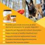 Thomas Pet Bio Case - Pancreatic Enzyme Supplement for Dogs & Cats - Digestive Aid - (12 Ounces, Powder)