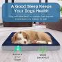 INVENHO Memory Foam Dog Bed 40'' x 27”Large Size Orthopedic Dog Bed, Therapeutic Joint & Muscle Relief Removeable & Washable Bed Cover with Waterproof Inner Lining