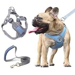 Surepet Dog Harnesses with Leash for Small Medium Dogs Adjustable,Reflective