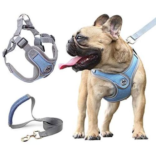 Surepet Dog Harnesses with Leash for Small Medium Dogs Adjustable,Reflective