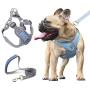 Surepet Dog Harnesses with Leash for Small Medium Dogs Adjustable,Reflective