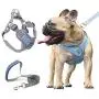 Surepet Dog Harnesses with Leash for Small Medium Dogs Adjustable,Reflective Surepet Dog Harnesses with Leash for Small Medium Dogs Adjustable,Reflective