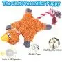 Yazepia 5 Pack Dog Squeaky Toys Four No Stuffing Toy and One Plush with Stuffing Dog Toys Durable Pet Chew Toy for Small Medium Large Dog Pets Cats