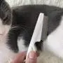 Pet Comb for Dog/Cat/Small Pets… Pet Comb for Dog/Cat/Small Pets…