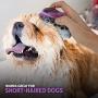 Poodle Pet Pet Brush Dog Soap and Shampoo Dispenser for Daily Grooming | Rinses Coat While Removing Lint and Shed Hair |for Short or Medium Hair | Soft Rubber Bristles Gentle on Skin | Purple