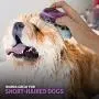 Poodle Pet Pet Brush Dog Soap and Shampoo Dispenser for Daily Grooming | Rinses Coat While Removing Lint and Shed Hair |for Short or Medium Hair | Soft Rubber Bristles Gentle on Skin | Purple Poodle Pet Pet Brush Dog Soap and Shampoo Dispenser for Daily Grooming | Rinses Coat While Removing Lint and Shed Hair |for Short or Medium Hair | Soft Rubber Bristles Gentle on Skin | Purple