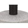 Royal Pet Club Cara Gray Cat Tower for Large Cats, with Scratching Posts, Two Platforms, Top Platform Padded with Back Rest, Condo, Removable Cushion (44444)