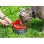 Leashboss Collapsible Dog Bowls - Two Large 64 Ounce Folding Travel Water and Food Bowls