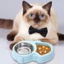 Ordermore Slow Feeder Bowl for Small Dogs & Cats