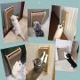 DORY Cat Solid Wood Scratcher Post/Ramp, Replaceable core，Corrugated Cardboard Kitty Scratching Pad Lounge Relaxing Bed with Suction Cups, Save Your Furniture