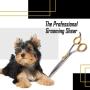 Sharf Pet Thinning Shears Gold Touch 7'' 46-Tooth Professional Dog Grooming Scissors, Slim Pointed Tip Shear, Sharp 440c Japanese Stainless Steel Dog Thinning Scissors.