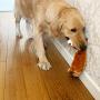 Jalousie 5 Pack Dog Squeaky Toys Three no Stuffing Toy Squeaky Toy Without Stuffing for Small Medium Large Dog Pets New (Stuffingless Combo C)