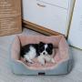 Orthopedic Pink Pet Beds for Small and Medium Dogs Calming Bed 25’’x21’’ Bolster Anxiety Dog Beds Padded Rim Bolster Pet Sleeping Sofa Bed with Warmer for Dogs and Cats