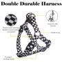 QQPETS Dog Harness Leash Set, Adjustable Vest Durable Heavy Duty Small Medium & Large Dogs Perfect for Walking Running Training Black and White Plaid Pattern