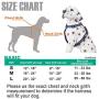Easy Lock Dog Harness and Leash Set for Small Large Dogs Puppy Breed, Magnetic Clasp Reflective Vest with Training Leash One Hand Easily Connect