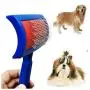 Chanok Dog Brush for Shedding Short Hair ( Free Dog Collar) Grooming Tool Easy To Clean Cleaning Slicker Comb for Short & Long Hair Pet, Small Dog, Golden Retriever, Poodle, Shih Tzu, Puppy Chanok Dog Brush for Shedding Short Hair ( Free Dog Collar) Grooming Tool Easy To Clean Cleaning Slicker Comb for Short & Long Hair Pet, Small Dog, Golden Retriever, Poodle, Shih Tzu, Puppy