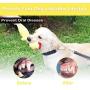 Cute Paws Christmas Dog Gift, Cotton Plush Squeaky Dog Toys, Interactive Dog Chew Toys, Stuffed Puppy Chew Toys for Teeth Cleaning, Small,Middle,Large Dogs