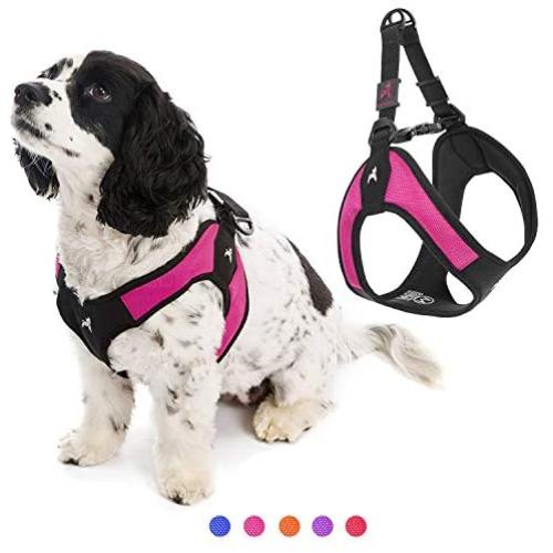 Gooby Dog Harness - Escape Free Easy Fit Patented Step-in Small Dog Harness - Perfect on The Go - No Pull Harness for Small Dogs or Cat Harness for Indoor and Outdoor Use