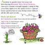 FUZZU Bloomin’ Kitty Seed Packets Cat Toys with U.S. Grown Certified Organic Catnip Collection - Set of 3: Bee Balm, Snap Dragon, and Tiger Lily