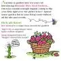 FUZZU Bloomin’ Kitty Seed Packets Cat Toys with U.S. Grown Certified Organic Catnip Collection - Set of 3: Bee Balm, Snap Dragon, and Tiger Lily FUZZU Bloomin’ Kitty Seed Packets Cat Toys with U.S. Grown Certified Organic Catnip Collection - Set of 3: Bee Balm, Snap Dragon, and Tiger Lily