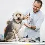 Dog Clippers for Small Dogs 5-Speeds Low Noise Cordless Dog clippers for grooming for Thick Coats Dog Hair Clippers Long Battery Life Rechargeable With 4 Guards 1 Comb 1 Brush 1 Scissors For Dogs Cats Dog Clippers for Small Dogs 5-Speeds Low Noise Cordless Dog clippers for grooming for Thick Coats Dog Hair Clippers Long Battery Life Rechargeable With 4 Guards 1 Comb 1 Brush 1 Scissors For Dogs Cats