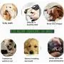 XINKYD Dog Chew Toys,Dog Toothbrush Teeth Cleaning Toys Puppy Brushing Stick Dental Oral Care for Pet… XINKYD Dog Chew Toys,Dog Toothbrush Teeth Cleaning Toys Puppy Brushing Stick Dental Oral Care for Pet…