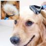 NANRE Dog Nail Clippers,Trimmer & Comb Gift Sets, Pet Grooming Tool for Dogs & Cats