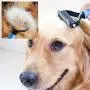 NANRE Dog Nail Clippers,Trimmer & Comb Gift Sets, Pet Grooming Tool for Dogs & Cats