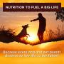 Natures Recipe Adult Dry Dog Food
