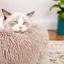 EDUJIN Fluffy Donut Cuddler Pet Bed, Cat and Dog Calming Indoor Cushion Bed with Non-Slip Bottom for Improved Sleep, Machine Washable Long Plush Soft Round Sofa Bed - 20/24 Inch for Puppy and Kitties