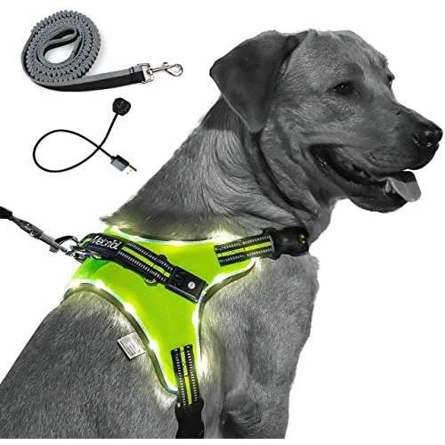 MelonTaiL Light Up Dog Harness with Bungee Leash-Rechargeable LED Light Dog Vest for Night Walking-Reflective Illuminated Harness for Extra Visibility-Glow in The Dark Lighted Vest for Dogs