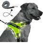 MelonTaiL Light Up Dog Harness with Bungee Leash-Rechargeable LED Light Dog Vest for Night Walking-Reflective Illuminated Harness for Extra Visibility-Glow in The Dark Lighted Vest for Dogs