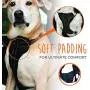 Mighty Paw Car Dog Harness, Vehicle Safety Harness with Adjustable Straps and Soft Padding, Doubles as a Standard Harness with a No Pull Front Leash Attachment