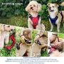 US AMY Pordlie Dog Harness No Pull Outdoor, Upgraded Easy Put on & Off No Choke Pet Harness with Control Training Handle, Adjustable Reflective Padded Vest Harness for Small Medium Large Dogs