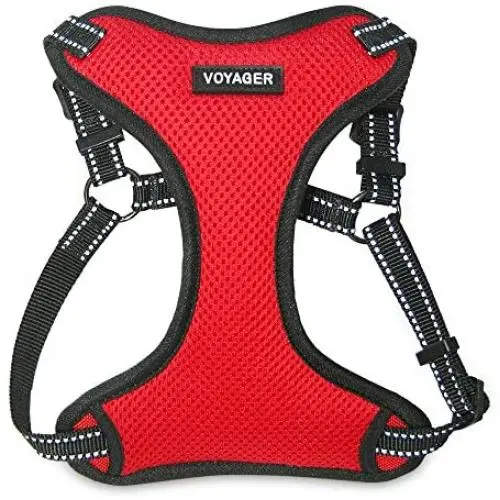 Voyager Step-In Flex Dog Harness - All Weather Mesh, Step In Adjustable Harness for Small and Medium Dogs by Best Pet Supplies Voyager Step-In Flex Dog Harness - All Weather Mesh, Step In Adjustable Harness for Small and Medium Dogs by Best Pet Supplies