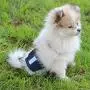 Paw Legend Washable Dog Belly Wrap Diapers for Male Dog (3 Pack,Army,Grey,Navy,X-Large)