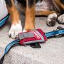 Kurgo Duty Bag for Dogs, Refillable Dog Poop Bag Dispenser, Dispenser with Dog Waste Bags, Attaches to Any Leash, Machine Washable, Universal Design, Convenient Hook for Used Waste Bags