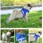 Xiaoyu Reflective Dog Vest Harness Leash Set, Harness Adjustable 3M Reflective Vest Small, Medium, Large Dogs