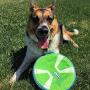 Chuckit! Paraflight Dog Toy